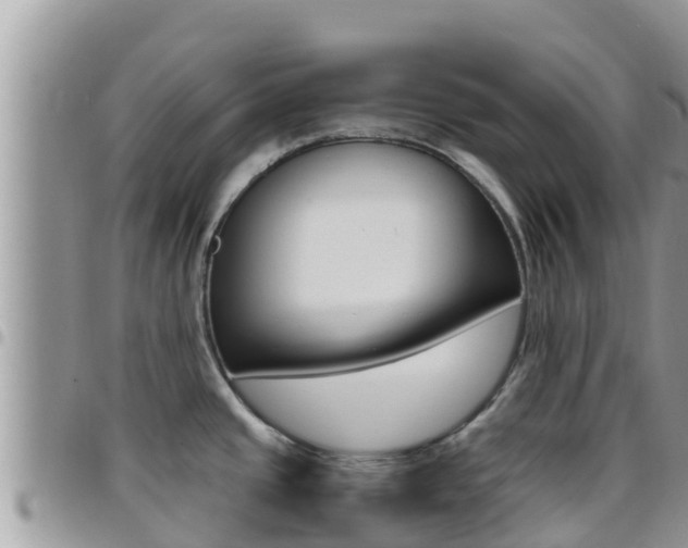 X0000096201437200801181021