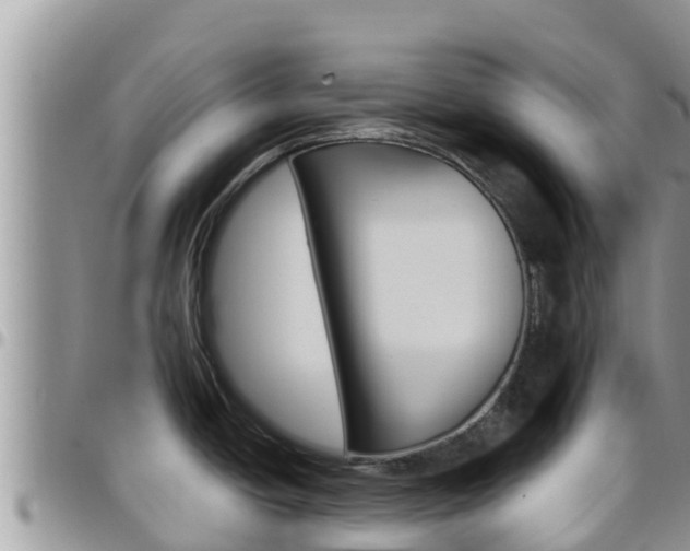 X0000096201438200801181021
