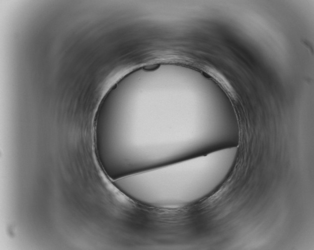 X0000096201439200801181021