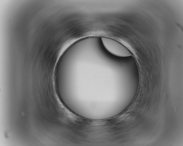 X0000096201440200801181021