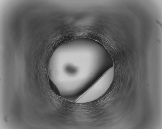 X0000096201441200801181020