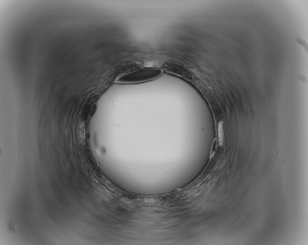 X0000096201443200801181020