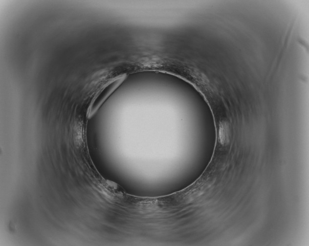 X0000096201444200801181020
