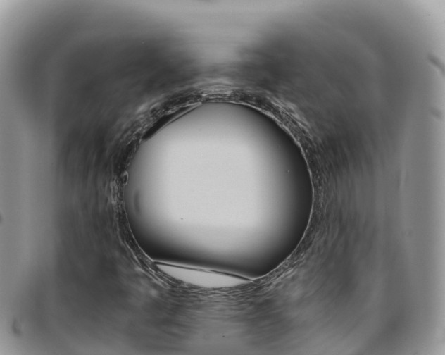X0000096201445200801181020
