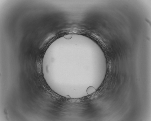 X0000096201446200801181020