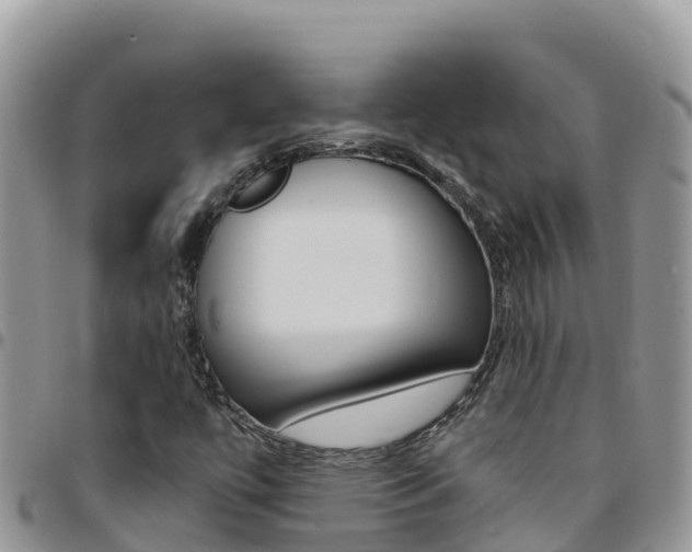 X0000096201447200801181020