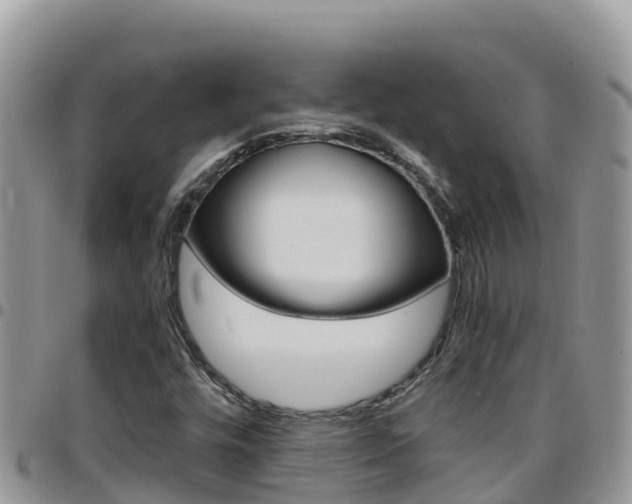 X0000096201448200801181020