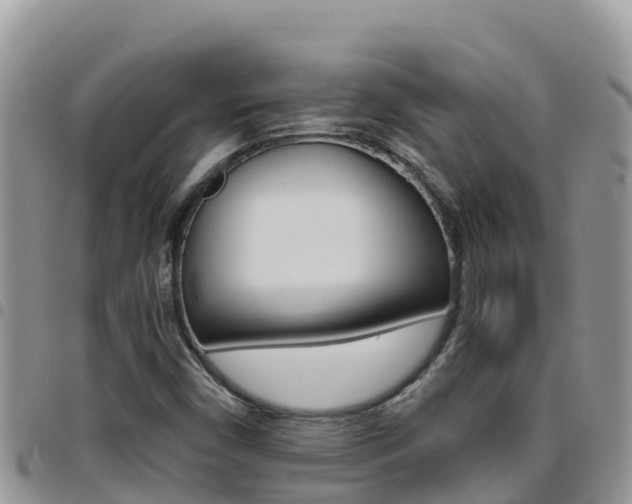 X0000096201450200801181020