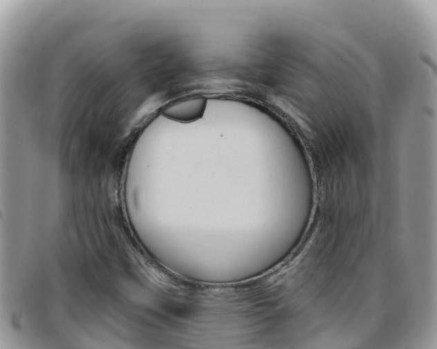 X0000096201451200801181020