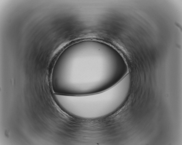 X0000096201452200801181020