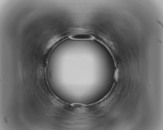 X0000096201453200801181020