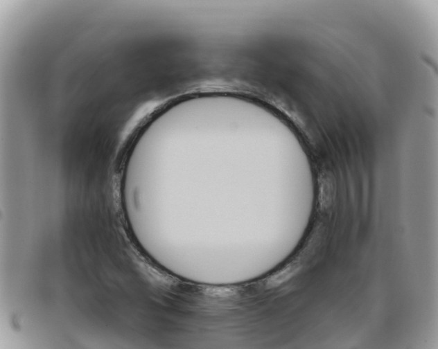 X0000096201454200801181020