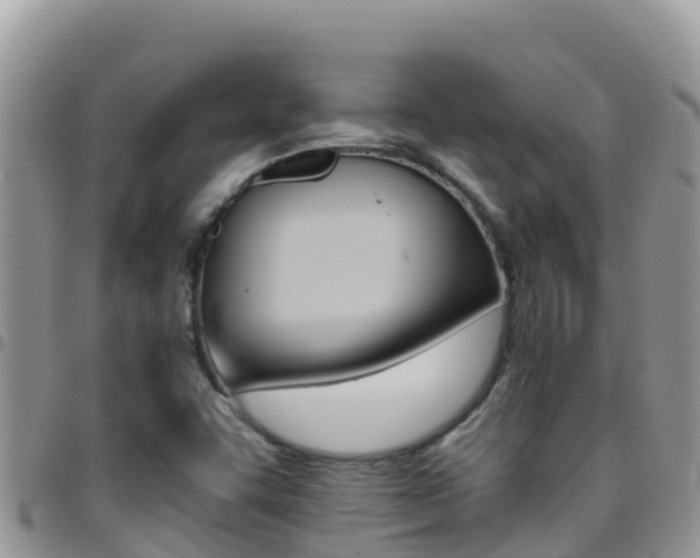 X0000096201455200801181020