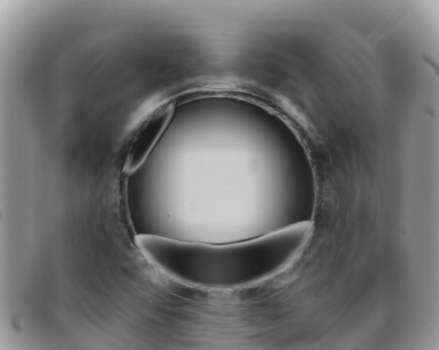X0000096201456200801181020