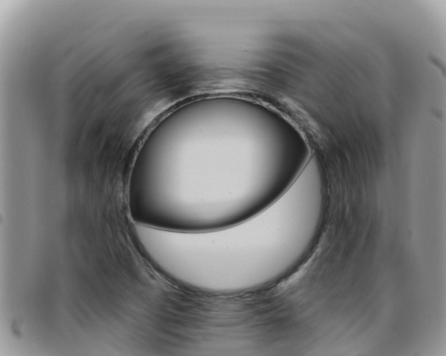 X0000096201457200801181020