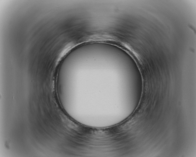X0000096201459200801181020