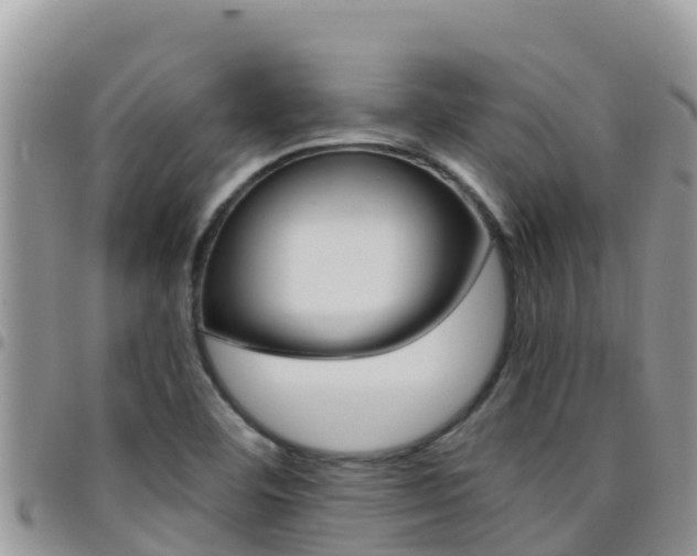 X0000096201460200801181020