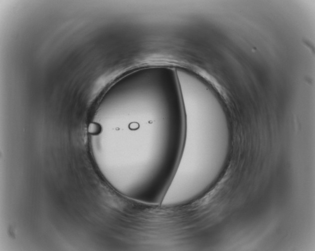 X0000096201461200801181020