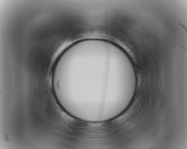 X0000096201462200801181020