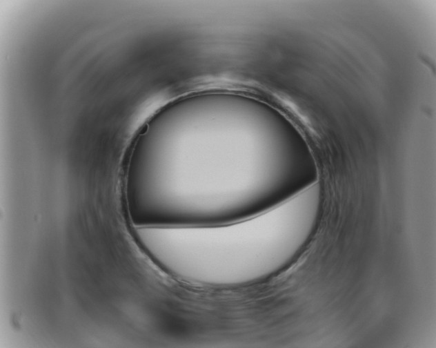 X0000096201463200801181020
