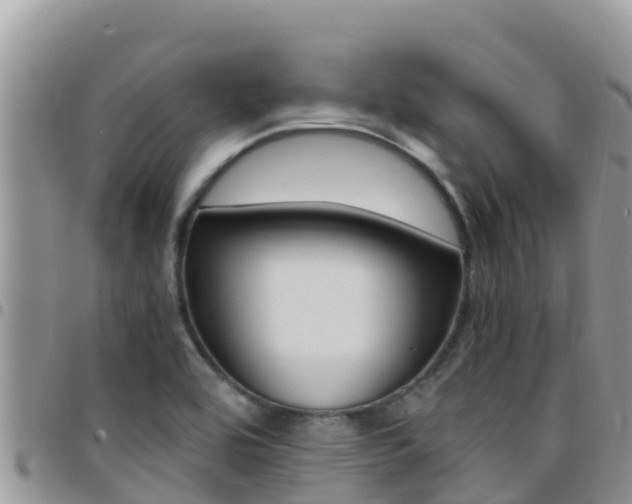 X0000096201464200801181020