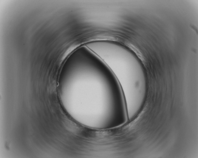X0000096201465200801181020