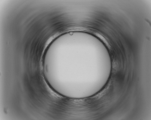 X0000096201466200801181020
