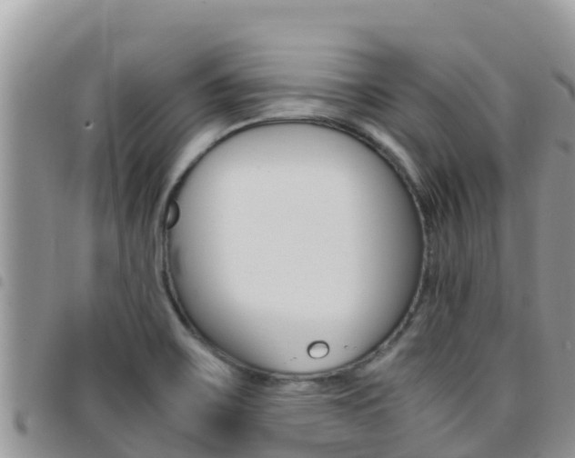X0000096201467200801181020