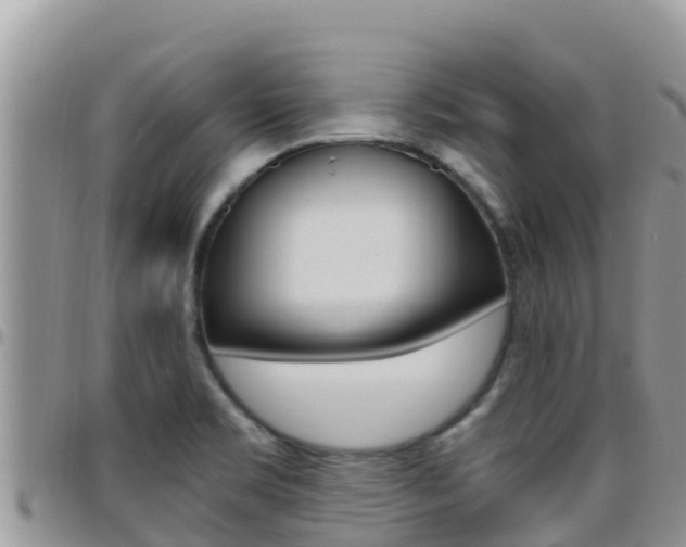 X0000096201469200801181020