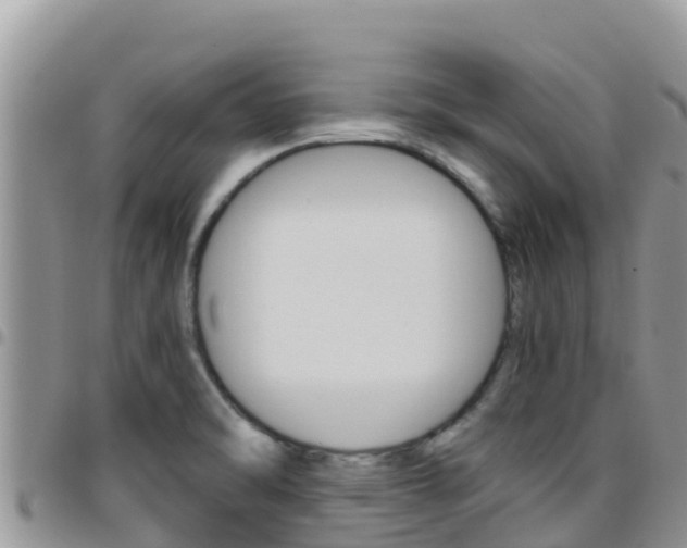 X0000096201470200801181020