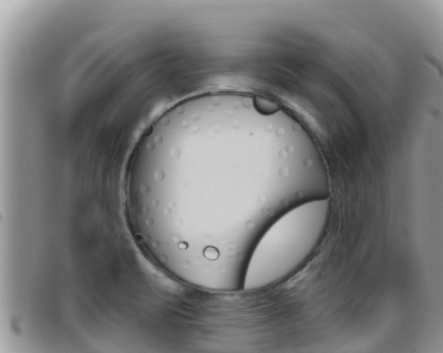 X0000096201471200801181020