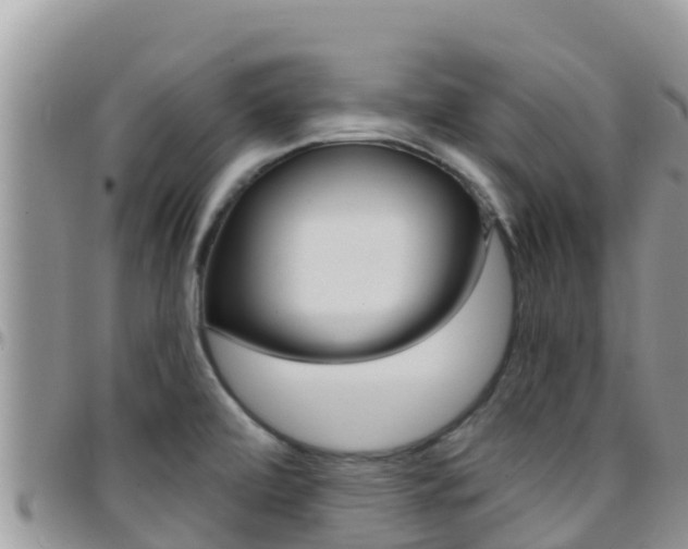 X0000096201472200801181020