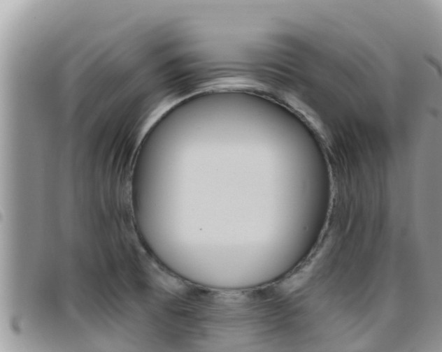 X0000096201473200801181020