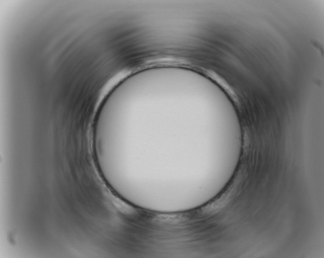 X0000096201474200801181020