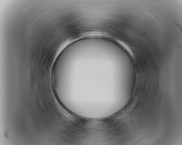 X0000096201475200801181020
