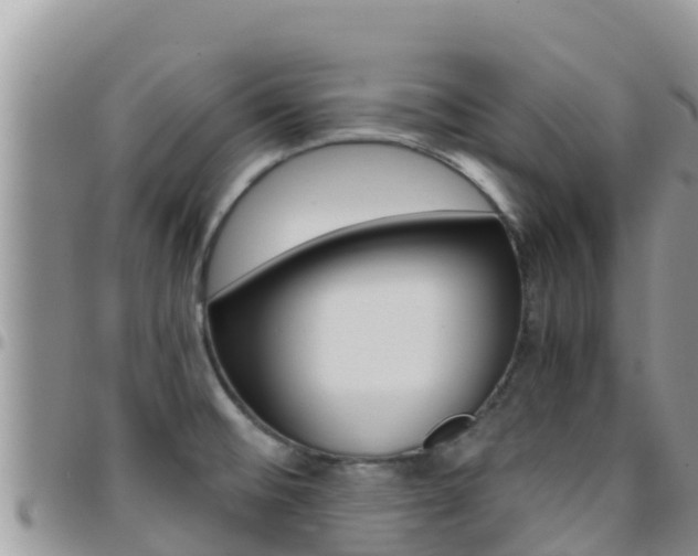 X0000096201476200801181020