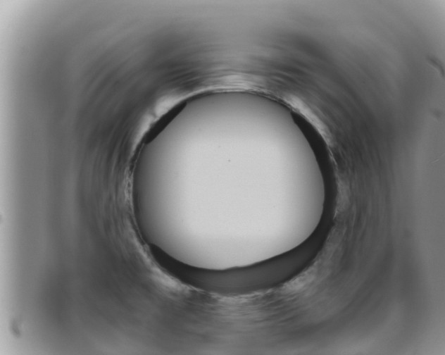 X0000096201477200801181020