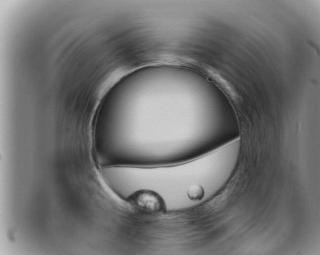 X0000096201479200801181020