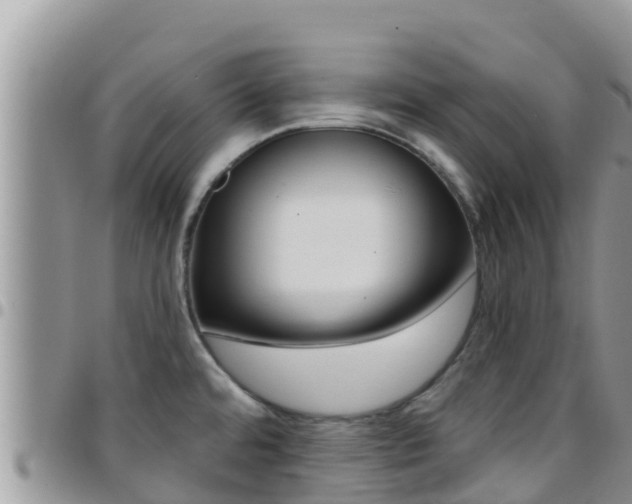 X0000096201480200801181020