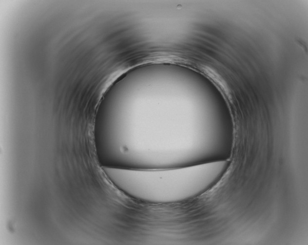 X0000096201481200801181020