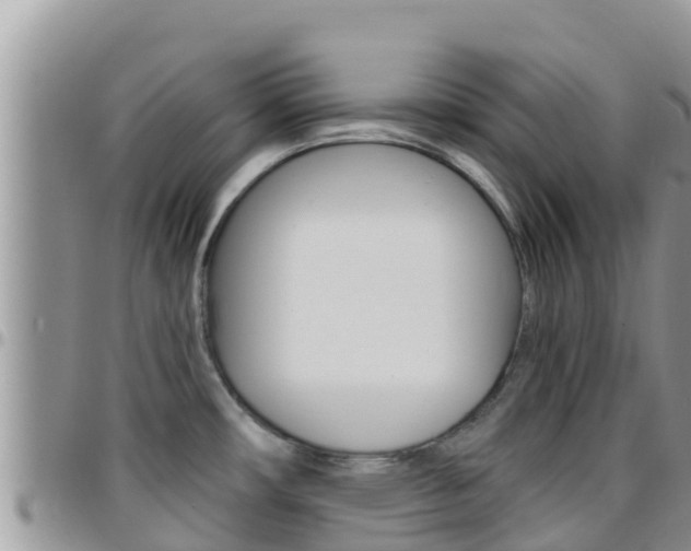 X0000096201482200801181020