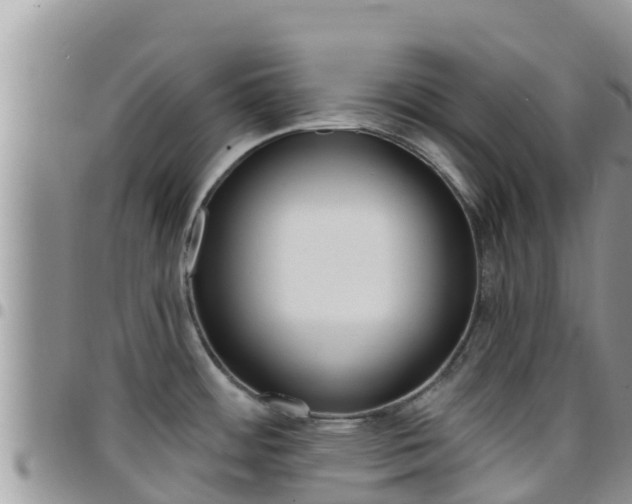 X0000096201484200801181020