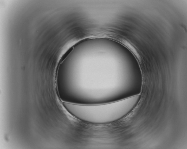 X0000096201485200801181020