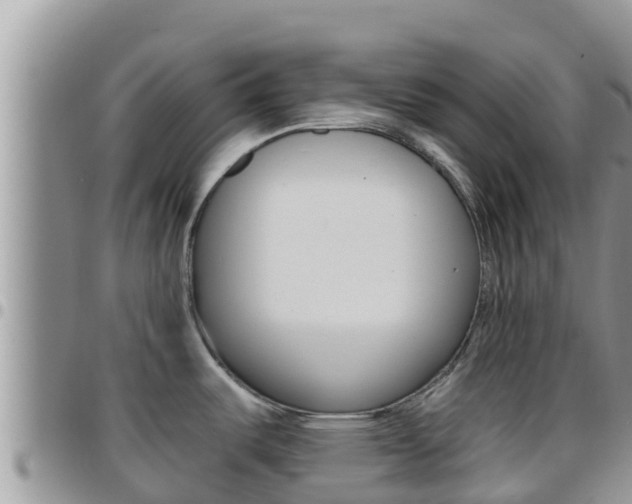 X0000096201487200801181020
