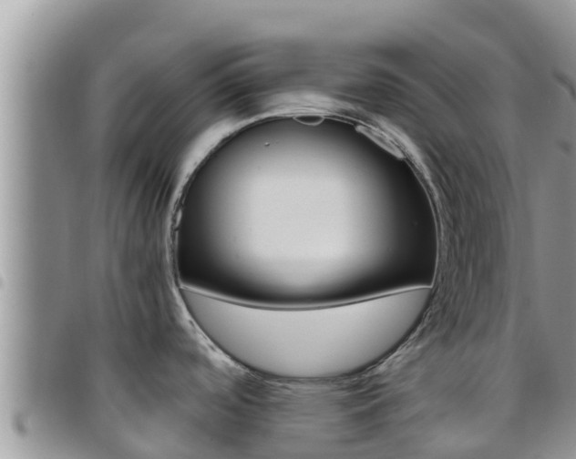 X0000096201488200801181020