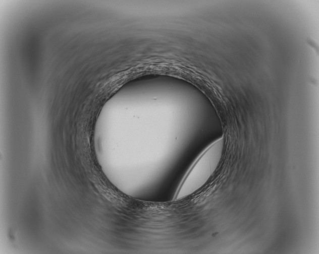 X0000096201489200801181019