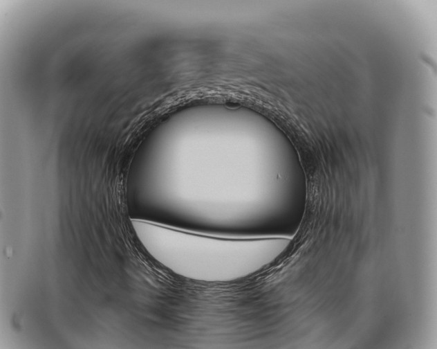 X0000096201490200801181019