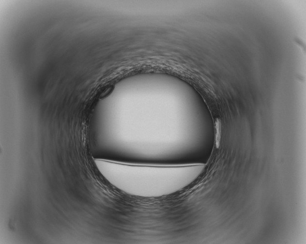 X0000096201491200801181019