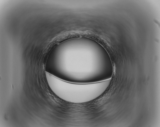 X0000096201492200801181019