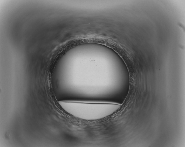 X0000096201493200801181019